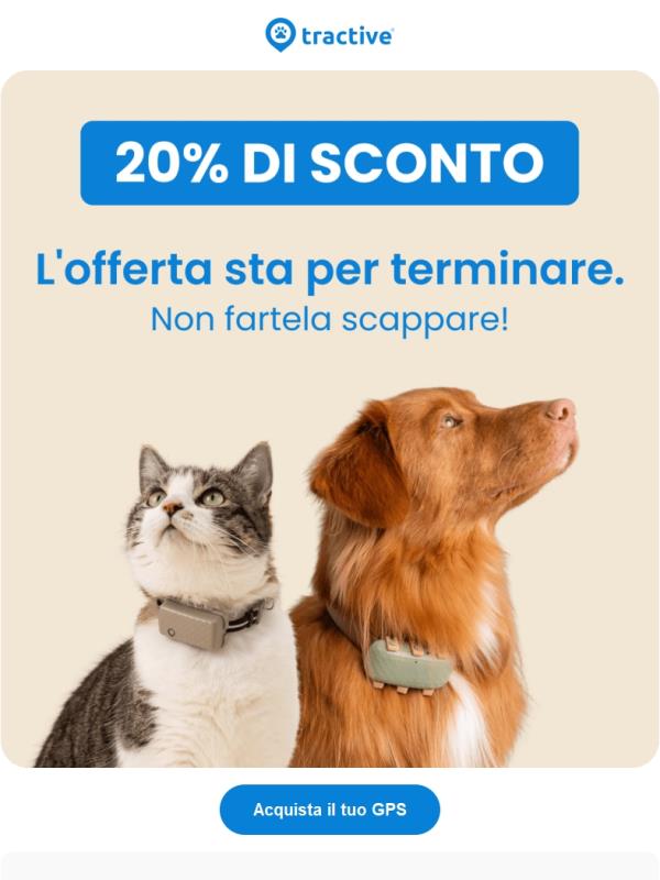 💙 Il -20% sta per terminare. Approfittane!