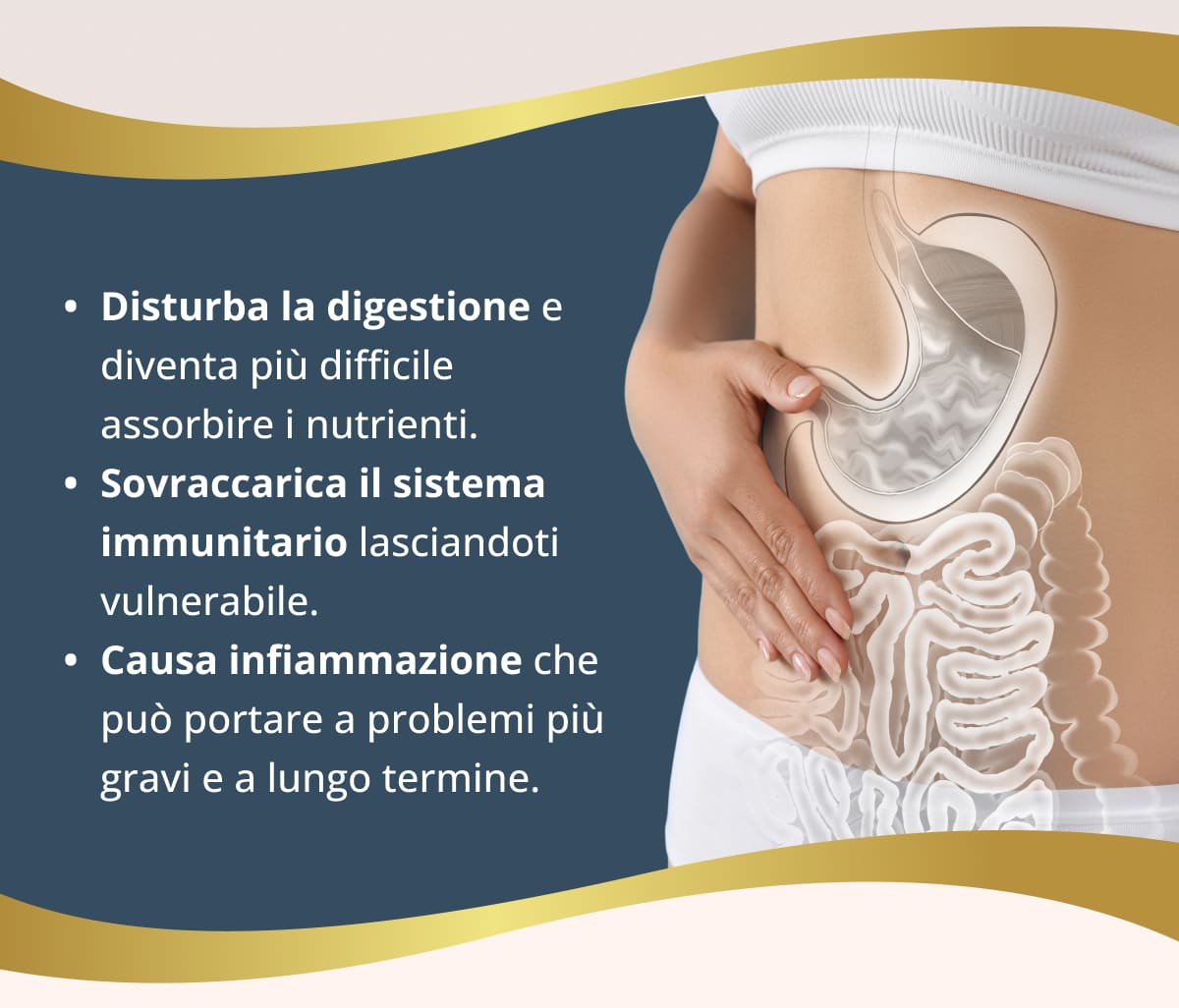 Disturba la digestione e diventa più difficile assorbire i nutrienti. Sovraccarica il sistema immunitario lasciandoti vulnerabile. Causa infiammazione che può portare a problemi più gravi e a lungo termine.