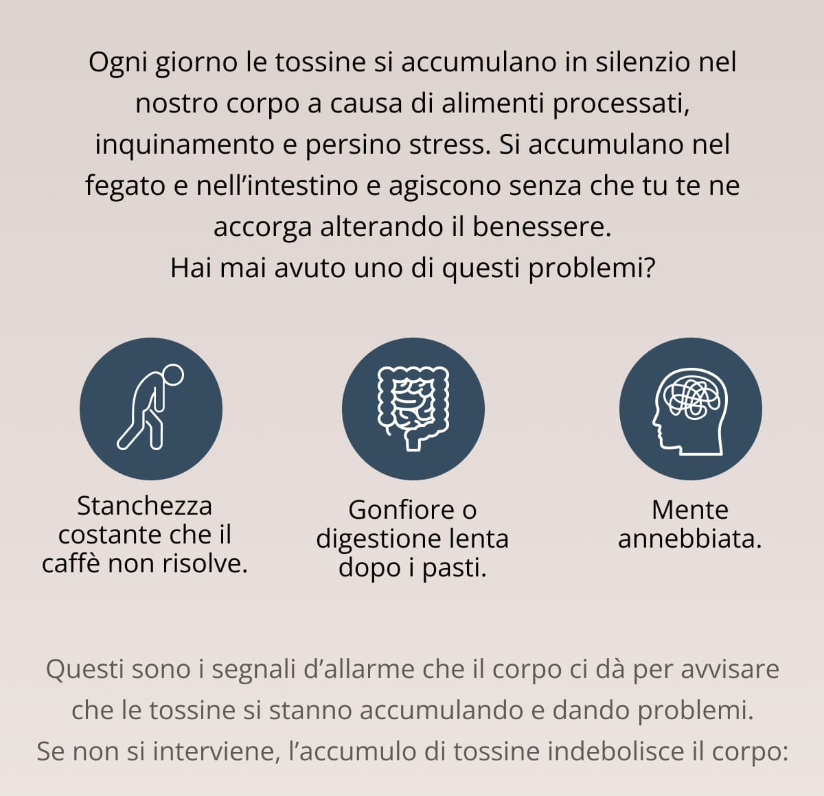 Ogni giorno le tossine si accumulano in silenzio nel nostro corpo a causa di alimenti processati, inquinamento e persino stress. Si accumulano nel fegato e nell’intestino e agiscono senza che tu te ne accorga alterando il benessere. Hai mai avuto uno di questi problemi? Stanchezza costante che il caffè non risolve. Gonfiore o digestione lenta dopo i pasti. Mente annebbiata. Questi sono i segnali d’allarme che il corpo ci dà per avvisare che le tossine si stanno accumulando e dando problemi. Se non si interviene, l’accumulo di tossine indebolisce il corpo: