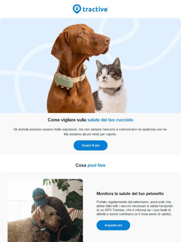 Come capire se il tuo pelosetto non sta bene 🤒