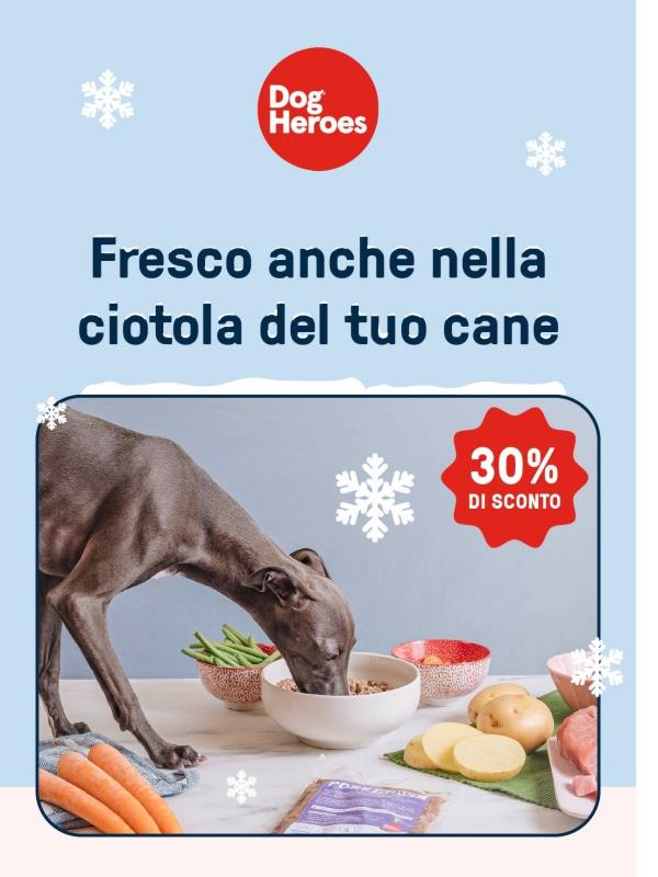 Porta il fresco nella ciotola del tuo cane 💧