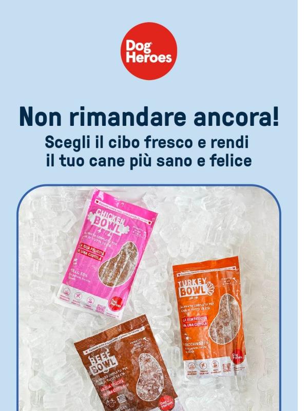 30% di sconto per rendere il tuo cane più sano e felice