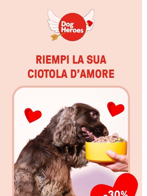 Non dimenticarti del tuo Valentino 🐶