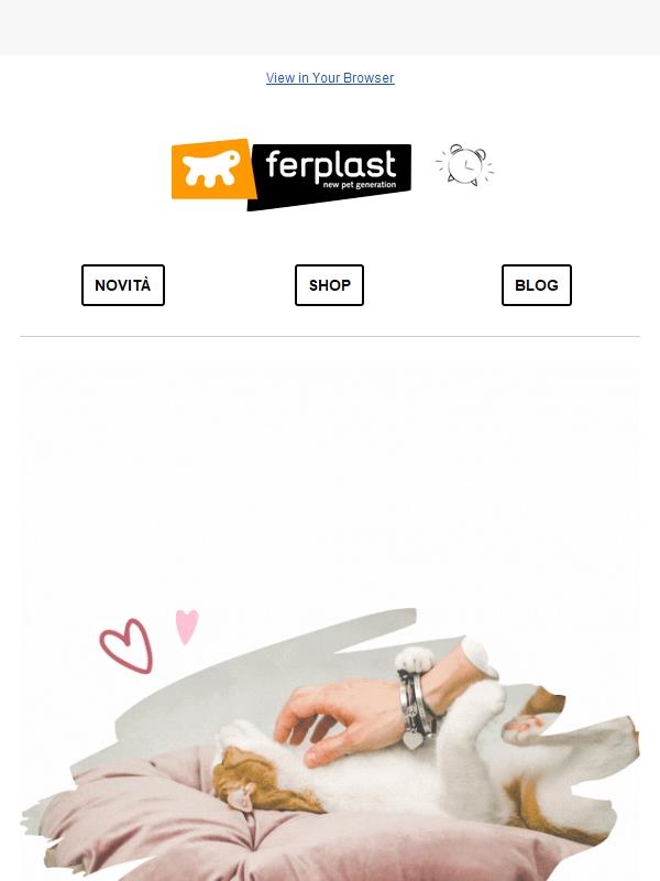 San Valentino: sconto 14% 💕