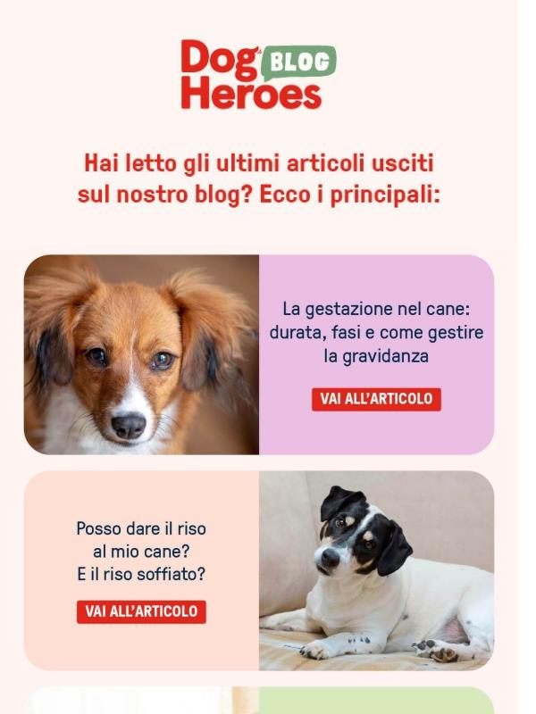 Scopri gli articoli usciti a febbraio sul nostro blog 🖥️🐶