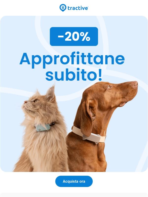 Offerta di marzo: risparmia il 20%!
