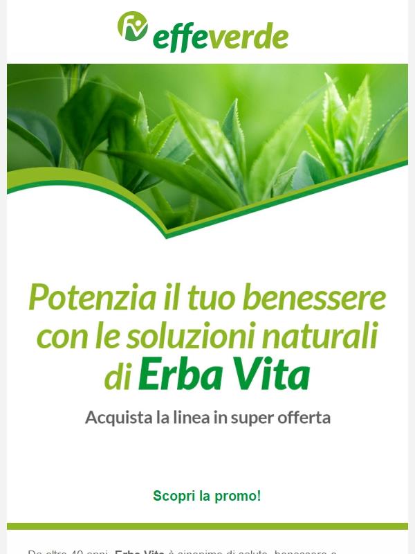 Scopri Erba Vita: soluzioni naturali per il tuo benessere