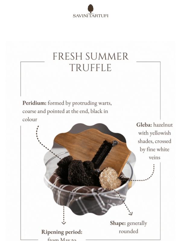 🎉 Fresh truffle now available 🎉