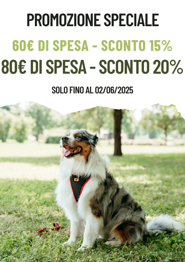 special promo