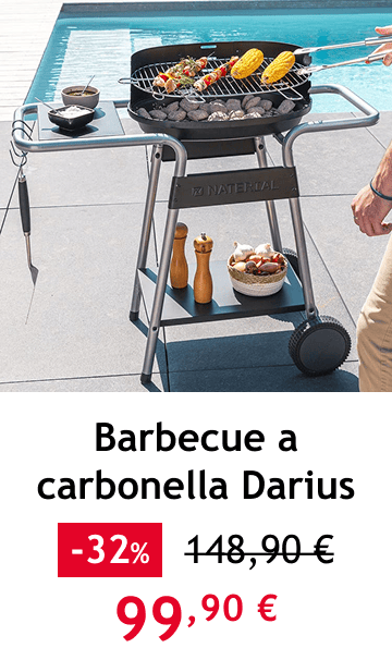 barbecue a carbonella darius