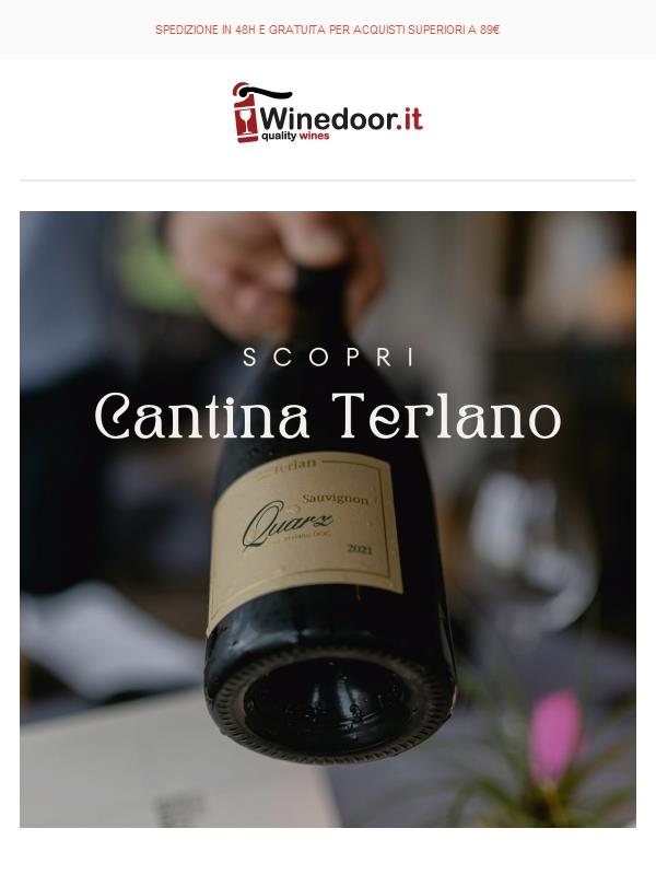 🍷Vini longevi per tutti gli appassionati: Cantina Terlano