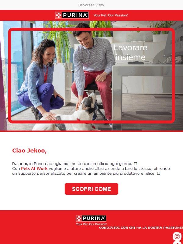 🐾 C'è un nuovo collega in ufficio. È a quattro zampe.