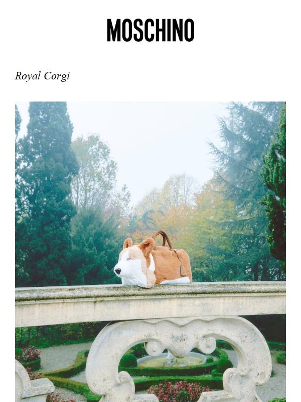 Il migliore amico di Sua Maestà
