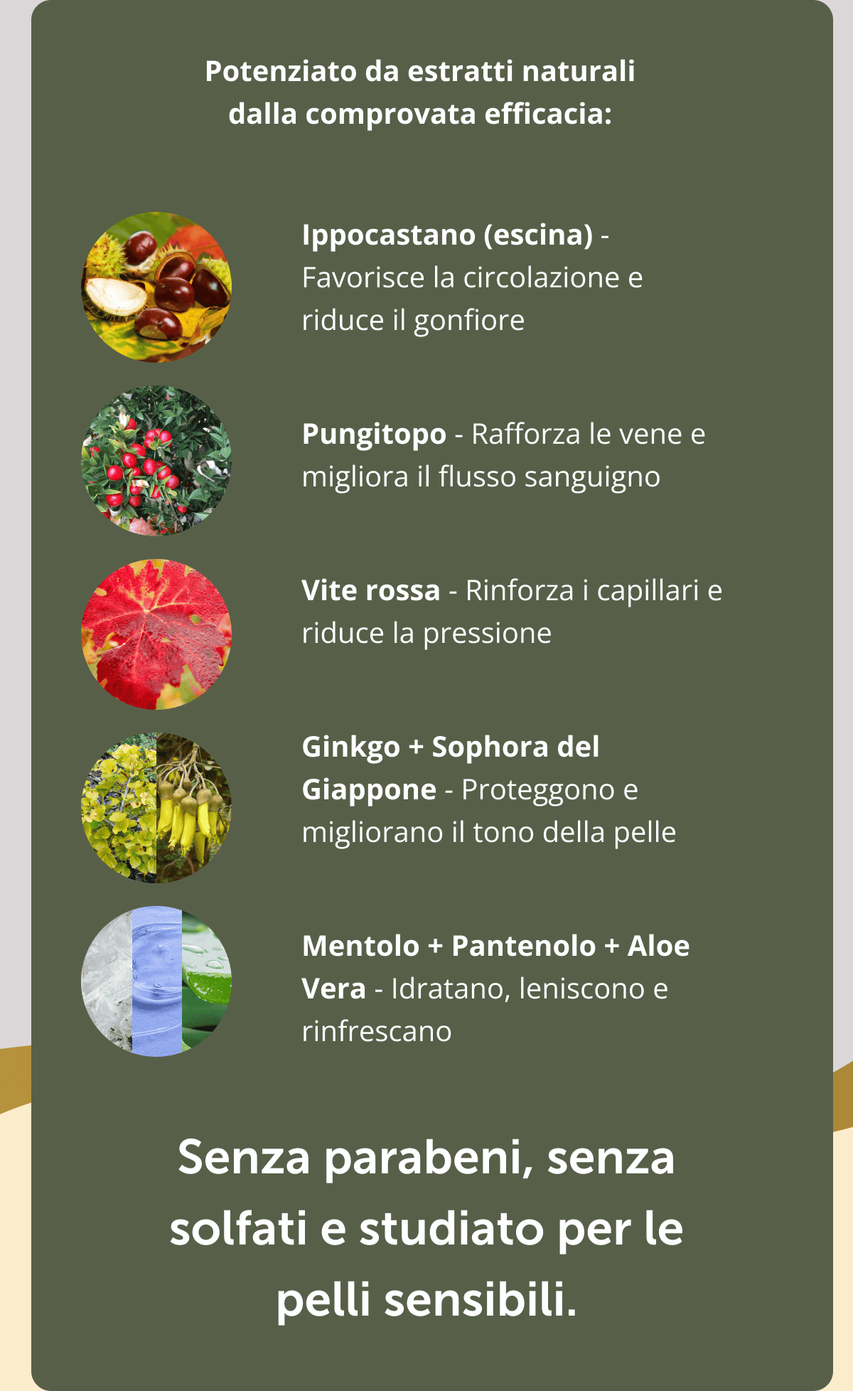 Potenziato da estratti naturali dalla comprovata efficacia: Ippocastano (escina) - Favorisce la circolazione e riduce il gonfiore  Pungitopo - Rafforza le vene e migliora il flusso sanguigno  Vite rossa - Rinforza i capillari e riduce la pressione  Ginkgo + Sophora del Giappone - Proteggono e migliorano il tono della pelle  Mentolo + Pantenolo + Aloe Vera - Idratano, leniscono e rinfrescano   Senza parabeni, senza solfati e studiato per le pelli sensibili.