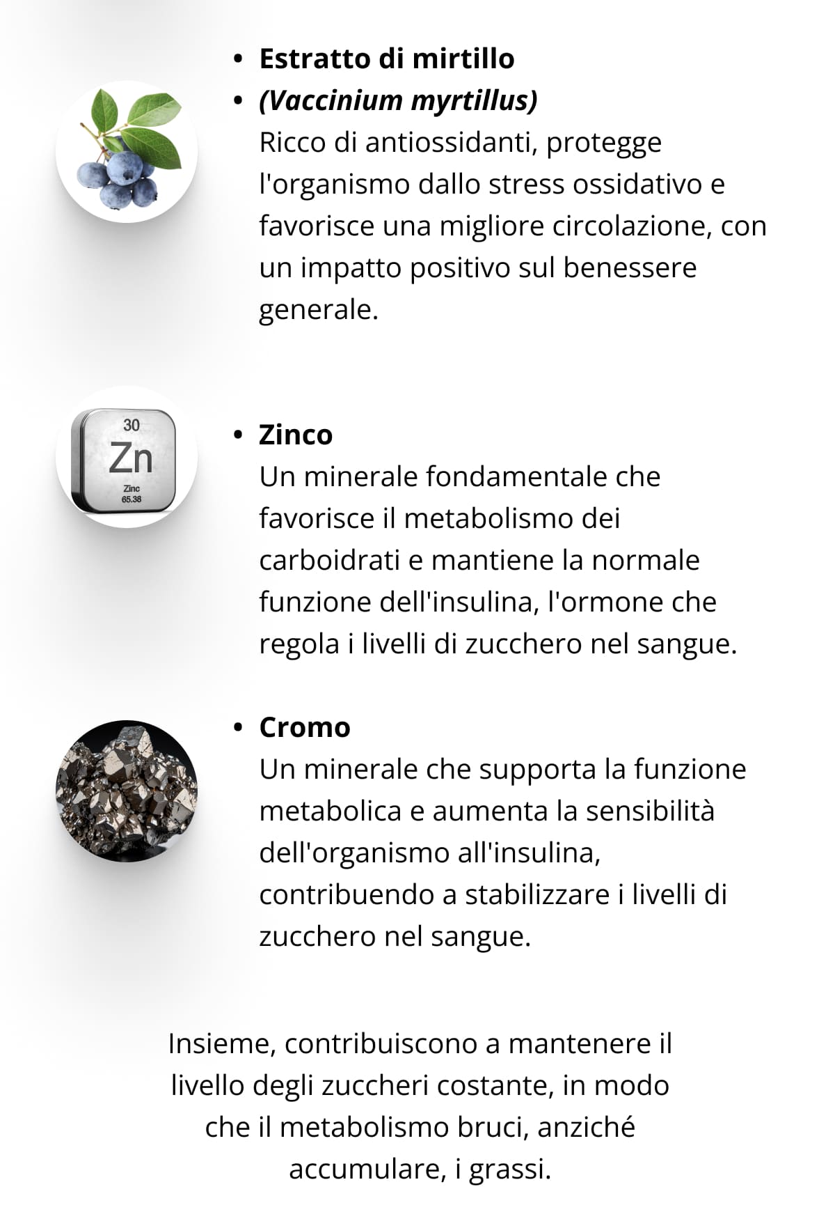 Estratto di mirtillo (Vaccinium myrtillus) Ricco di antiossidanti, protegge l'organismo dallo stress ossidativo e favorisce una migliore circolazione, con un impatto positivo sul benessere generale.   Zinco Un minerale fondamentale che favorisce il metabolismo dei carboidrati e mantiene la normale funzione dell'insulina, l'ormone che regola i livelli di zucchero nel sangue.  Cromo Un minerale che supporta la funzione metabolica e aumenta la sensibilità dell'organismo all'insulina, contribuendo a stabilizzare i livelli di zucchero nel sangue.  Insieme, contribuiscono a mantenere il livello degli zuccheri costante, in modo che il metabolismo bruci, anziché accumulare, i grassi.