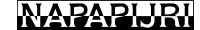 Logo Napa