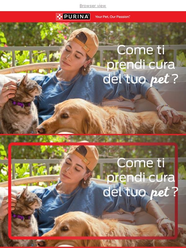 🐾 Un regalo per te 🎁