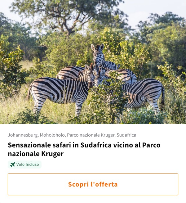 Sensazionale safari in Sudafrica vicino al Parco nazionale Kruger