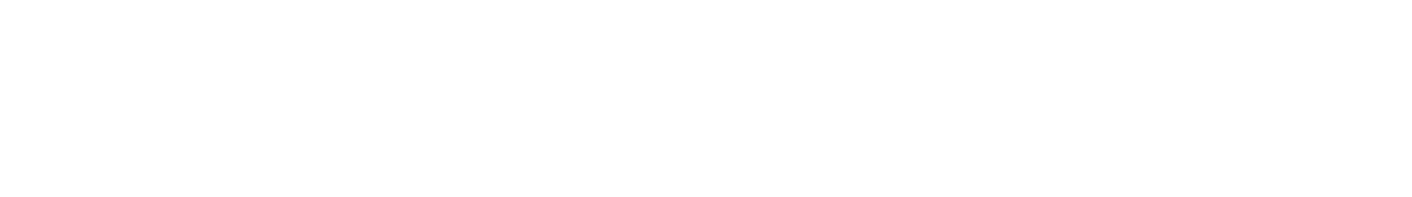 Logo di carVertical
