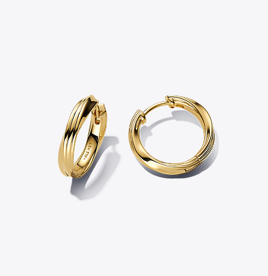 Twisted Hoop Earrings