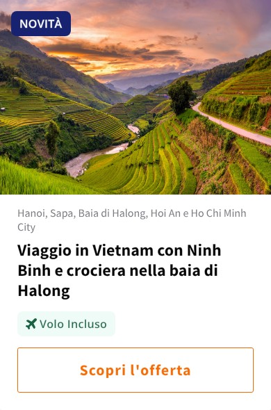 Viaggio in Vietnam con Ninh Binh e crociera nella baia di Halong