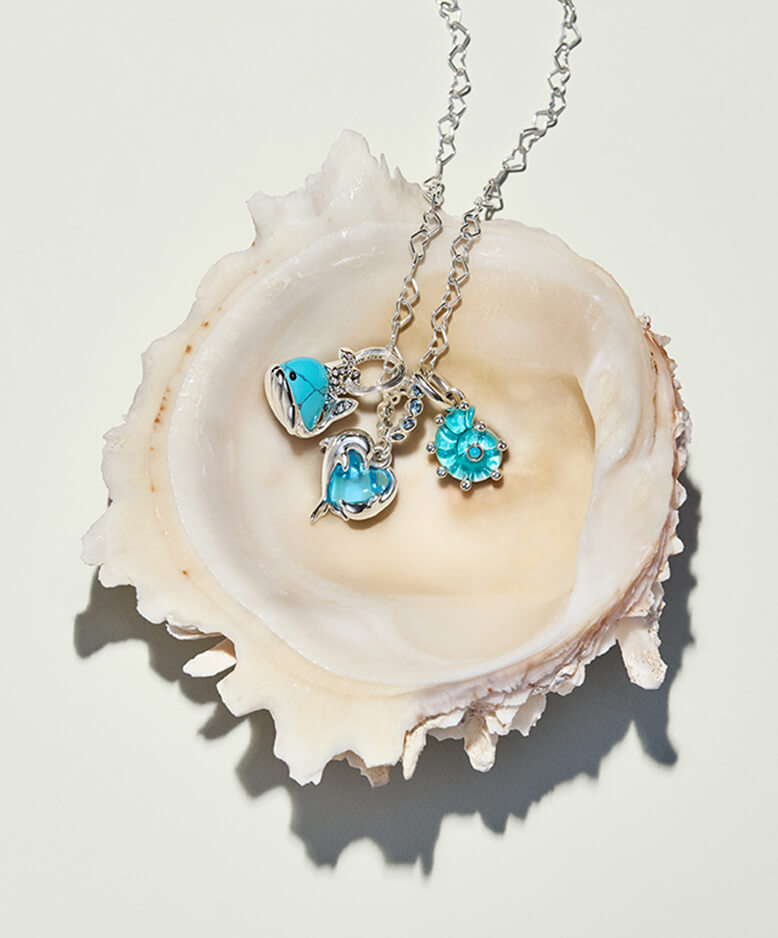Shell with jewelry