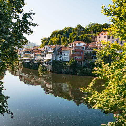 Activity image: Valle del Douro: Tour del vino con pranzo, degustazioni e crociera sul fiume