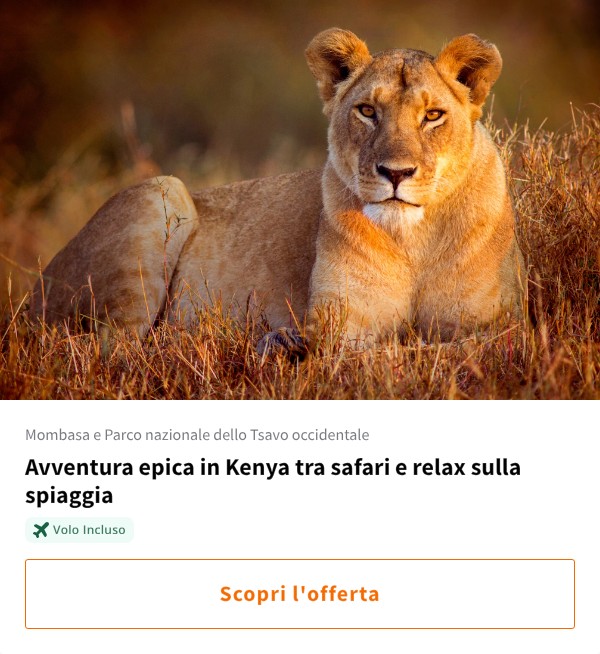Avventura epica in Kenya tra safari e relax sulla spiaggia
