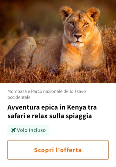 Avventura epica in Kenya tra safari e relax sulla spiaggia