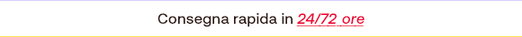 Testo promozionale su fondo bianco: Consegna rapida in 24/72 ore evidenziato in rosso.