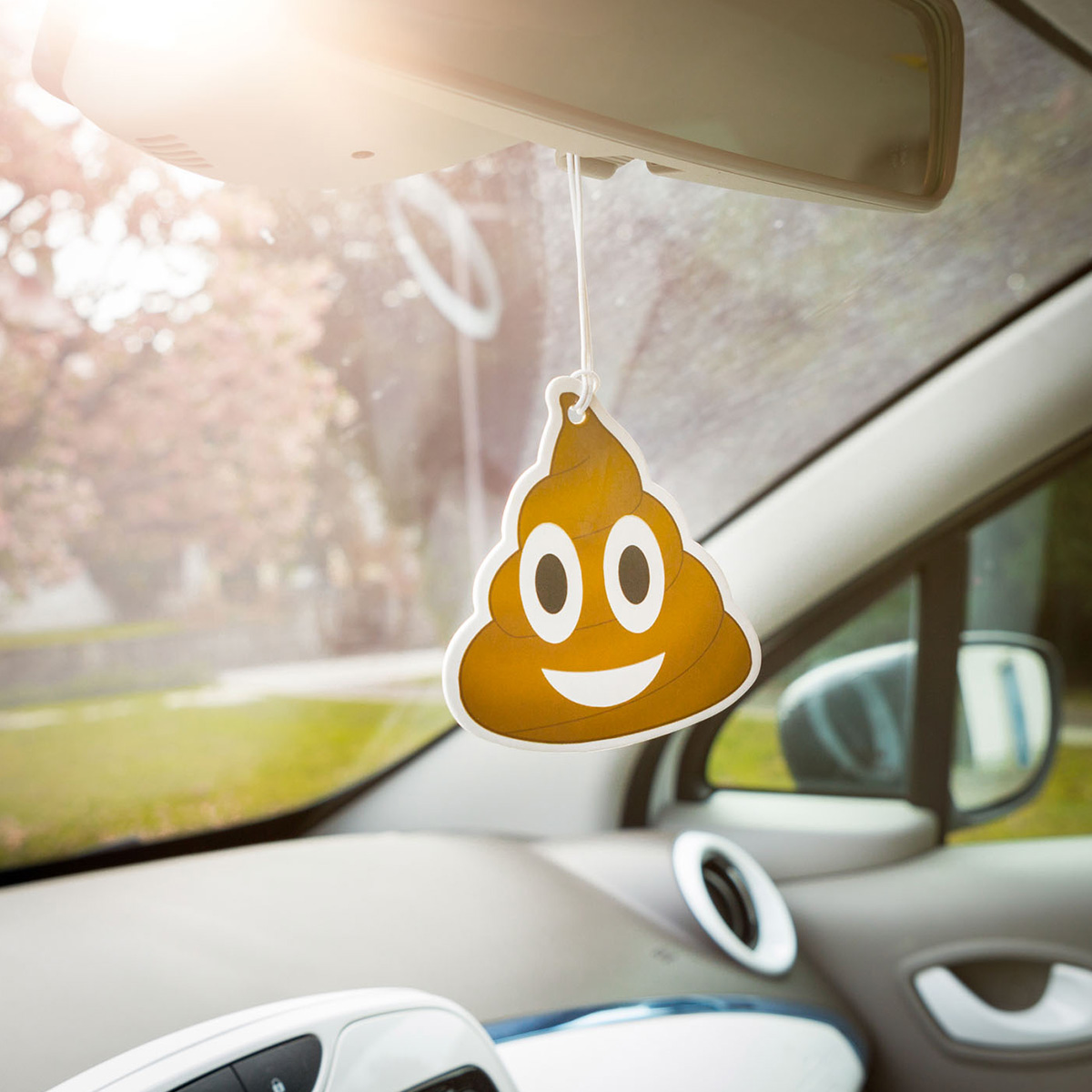Image of Emoji Poop - deodorante per auto