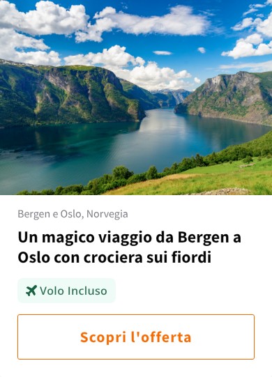 Un magico viaggio da Bergen a Oslo con crociera sui fiordi
