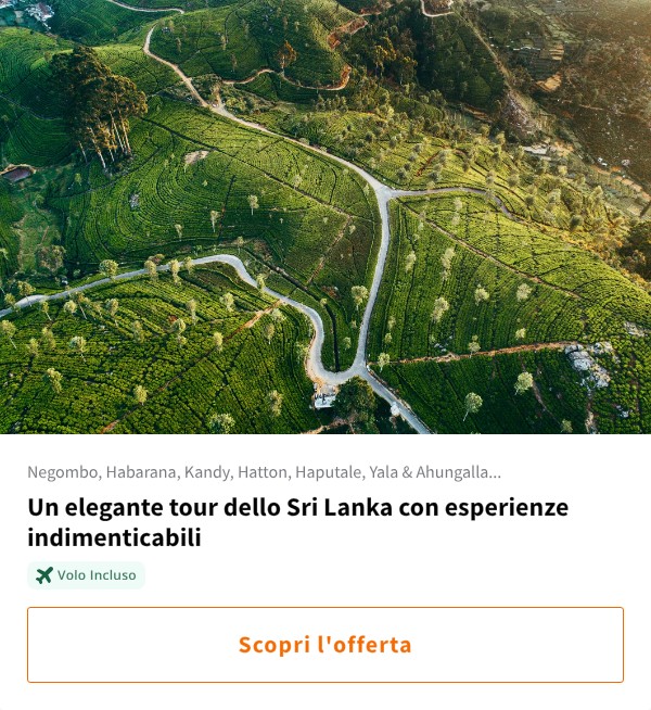 Un elegante tour dello Sri Lanka con esperienze indimenticabili