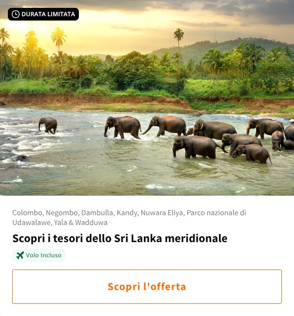 Scopri i tesori dello Sri Lanka meridionale