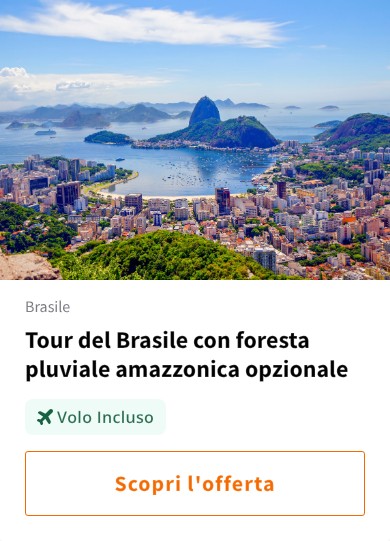 Tour del Brasile con foresta pluviale amazzonica opzionale