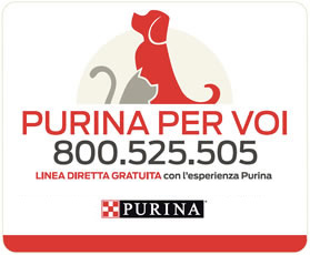 Purina Club