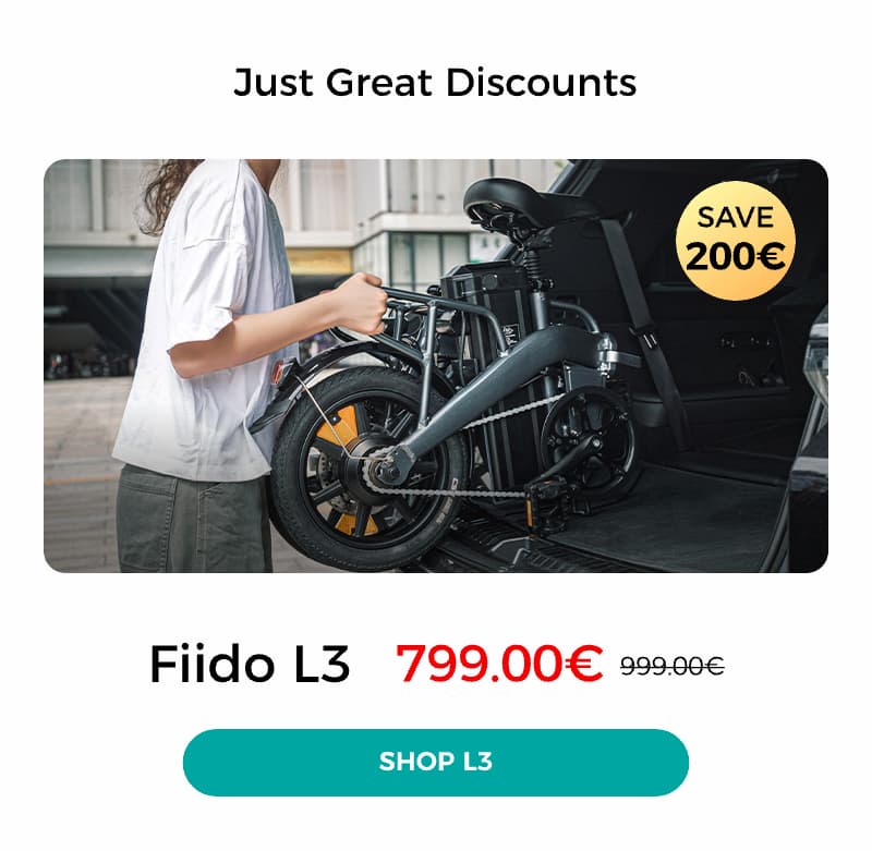 Fiido L3
