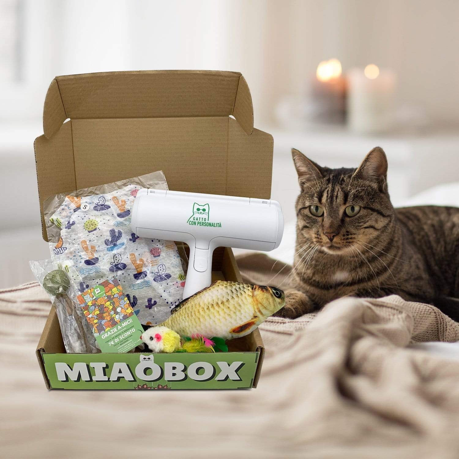 Image of MIAOBOX 1 - Scelta da Beppo