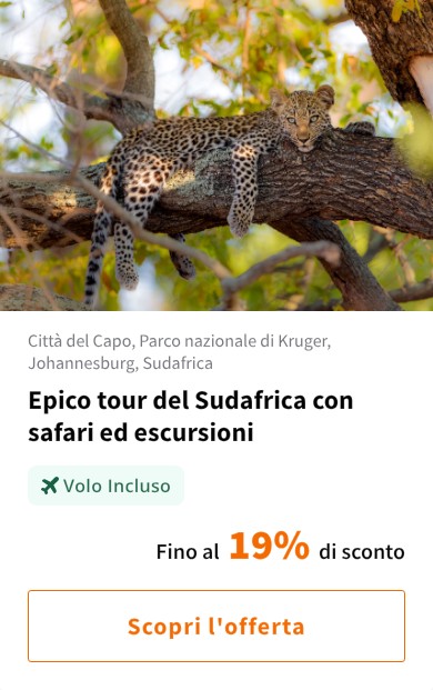 Epico tour del Sudafrica con safari ed escursioni