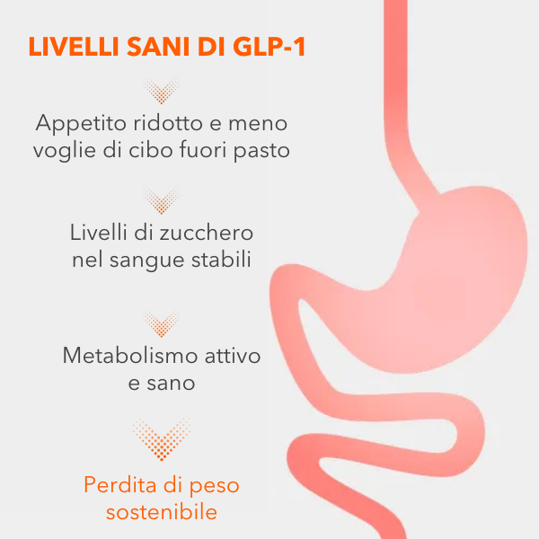 Come funziona il GLP-1