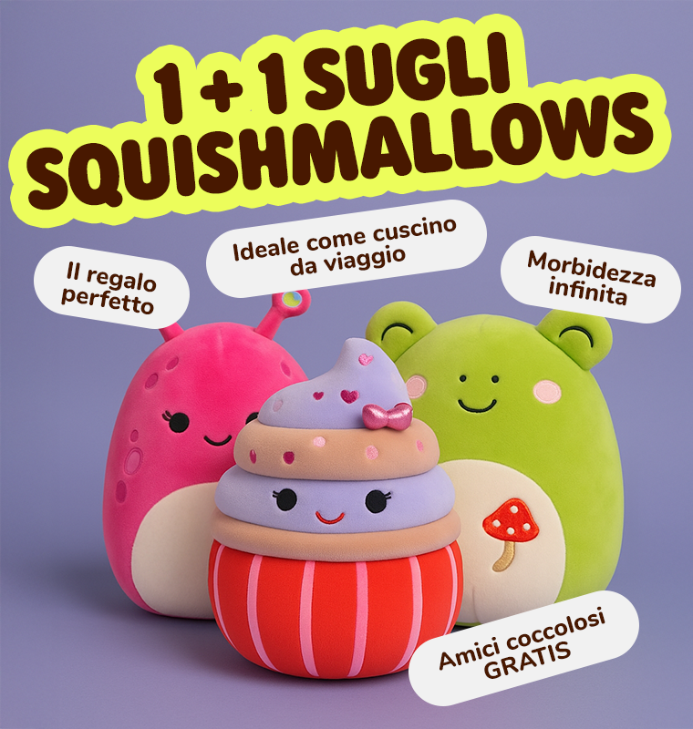  1+1 sugli SQUISHMALLOWS