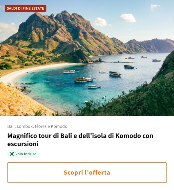 Magnifico tour di Bali e dell'isola di Komodo con escursioni