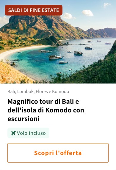 Magnifico tour di Bali e dell&#x27;isola di Komodo con escursioni