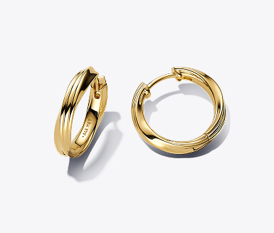 Twisted Hoop Earrings