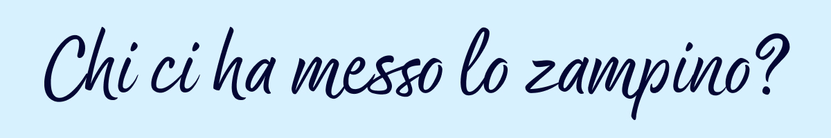 Chi ci ha messo lo zampino?
