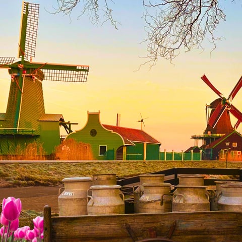 Activity image: Amsterdam: Escursione di un piccolo gruppo a Giethoorn e Zaanse Schans