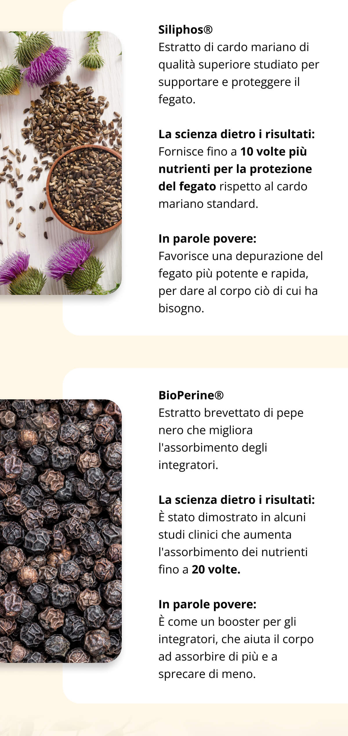 Siliphos® Estratto di cardo mariano di qualità superiore studiato per supportare e proteggere il fegato. La scienza dietro i risultati: Fornisce fino a 10 volte più nutrienti per la protezione del fegato rispetto al cardo mariano standard. In parole povere: Favorisce una depurazione del fegato più potente e rapida, per dare al corpo ciò di cui ha bisogno.   BioPerine® Estratto brevettato di pepe nero che migliora l'assorbimento degli integratori. La scienza dietro i risultati: È stato dimostrato in alcuni studi clinici che aumenta l'assorbimento dei nutrienti fino a 20 volte. In parole povere: È come un booster per gli integratori, che aiuta il corpo ad assorbire di più e a sprecare di meno.