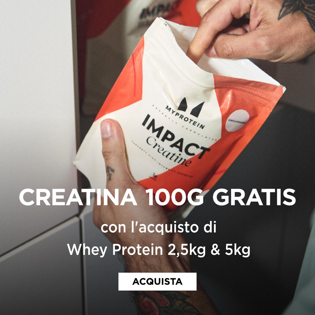 creatina gratis