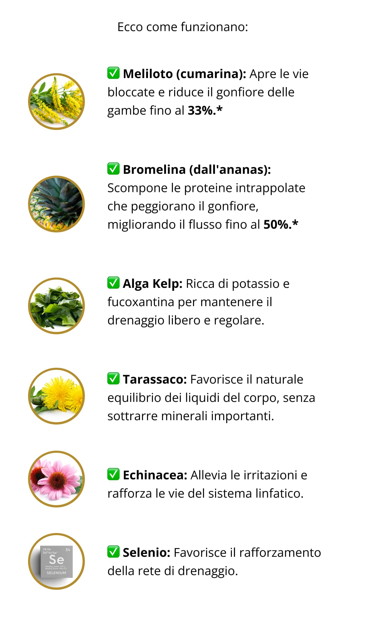 Ecco come funzionano: ✅ Meliloto (cumarina): Apre le vie bloccate e riduce il gonfiore delle gambe fino al 33%.* ✅ Bromelina (dall'ananas): Scompone le proteine intrappolate che peggiorano il gonfiore, migliorando il flusso fino al 50%.* ✅ Alga Kelp: Ricca di potassio e fucoxantina per mantenere il drenaggio libero e regolare. ✅ Tarassaco: Favorisce il naturale equilibrio dei liquidi del corpo, senza sottrarre minerali importanti. ✅ Echinacea: Allevia le irritazioni e rafforza le vie del sistema linfatico. ✅ Selenio: Favorisce il rafforzamento della rete di drenaggio.