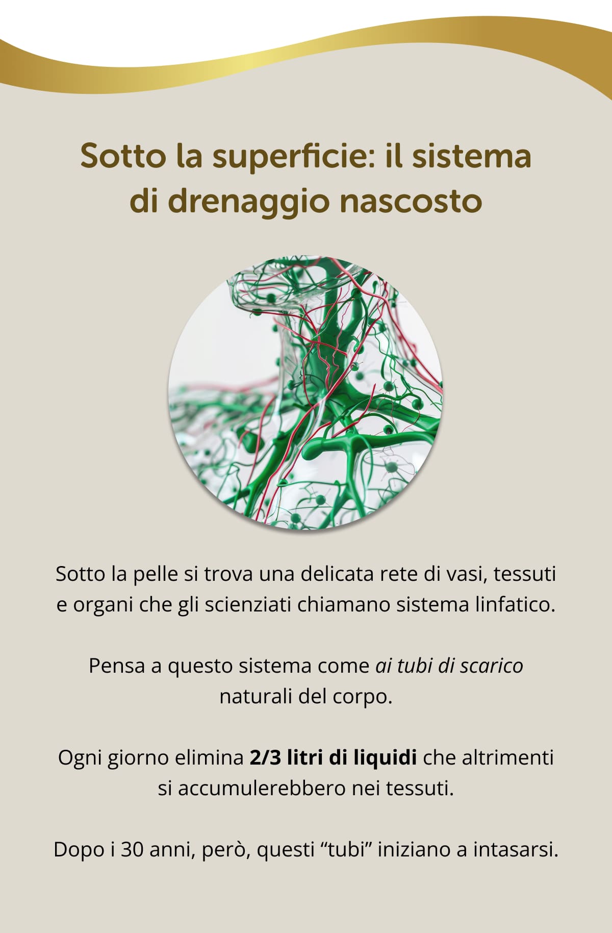 Sotto la superficie: il sistema di drenaggio nascosto Sotto la pelle si trova una delicata rete di vasi, tessuti e organi che gli scienziati chiamano sistema linfatico. Pensa a questo sistema come ai tubi di scarico naturali del corpo. Ogni giorno elimina 2/3 litri di liquidi che altrimenti si accumulerebbero nei tessuti. Dopo i 30 anni, però, questi “tubi” iniziano a intasarsi.